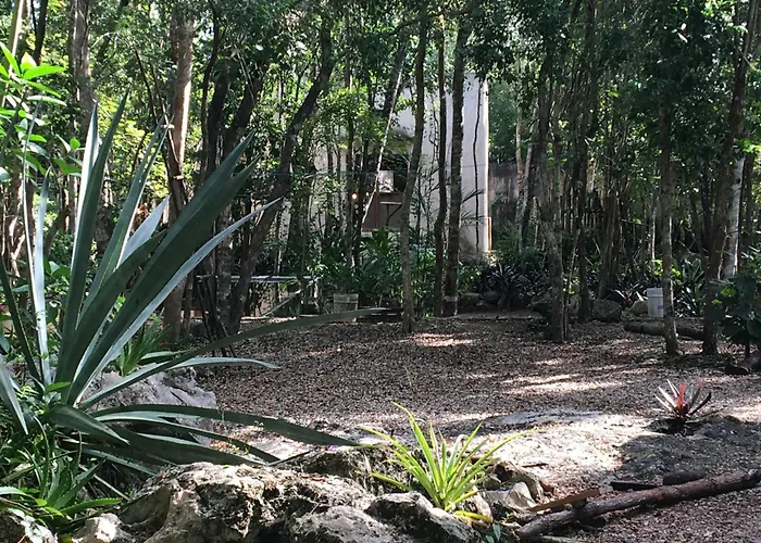 Barefoot Jungle 4* Tulum