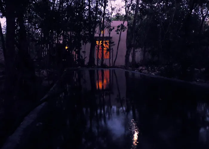 Barefoot Jungle