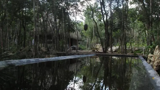 Gasthof Barefoot Jungle