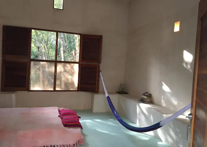 Barefoot Jungle
