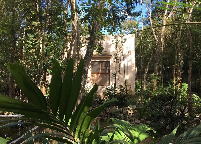 Gasthof Barefoot Jungle