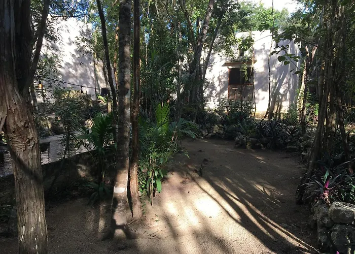 Barefoot Jungle 4*